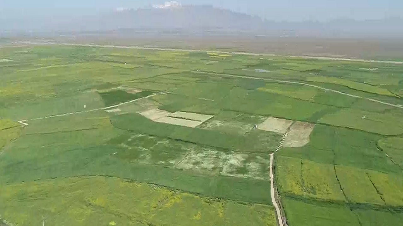 طرح امنیت غذایی باعث رونق اقتصاد کشاورزی می‌شود