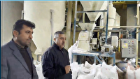 تاکید بر رسیدگی فوری به مشکلات واحد‌های صنعتی بناب