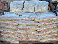 برنج‌های خارج از شبکه قانونی توزیع به مقصد نرسید