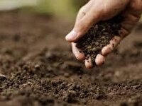 اجرای طرح ارتقای حاصلخیزی خاک در خرمشهر