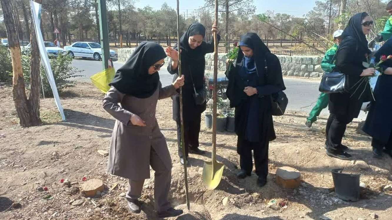 کاشت بیش از ۱.۴ میلیون اصله نهال در استان تهران در قالب طرح مردمی کاشت یک میلیارد درخت کاشت بیش از ۱.۴ میلیون اصله نهال در استان تهران در قالب طرح مردمی کاشت یک میلیارد درخت