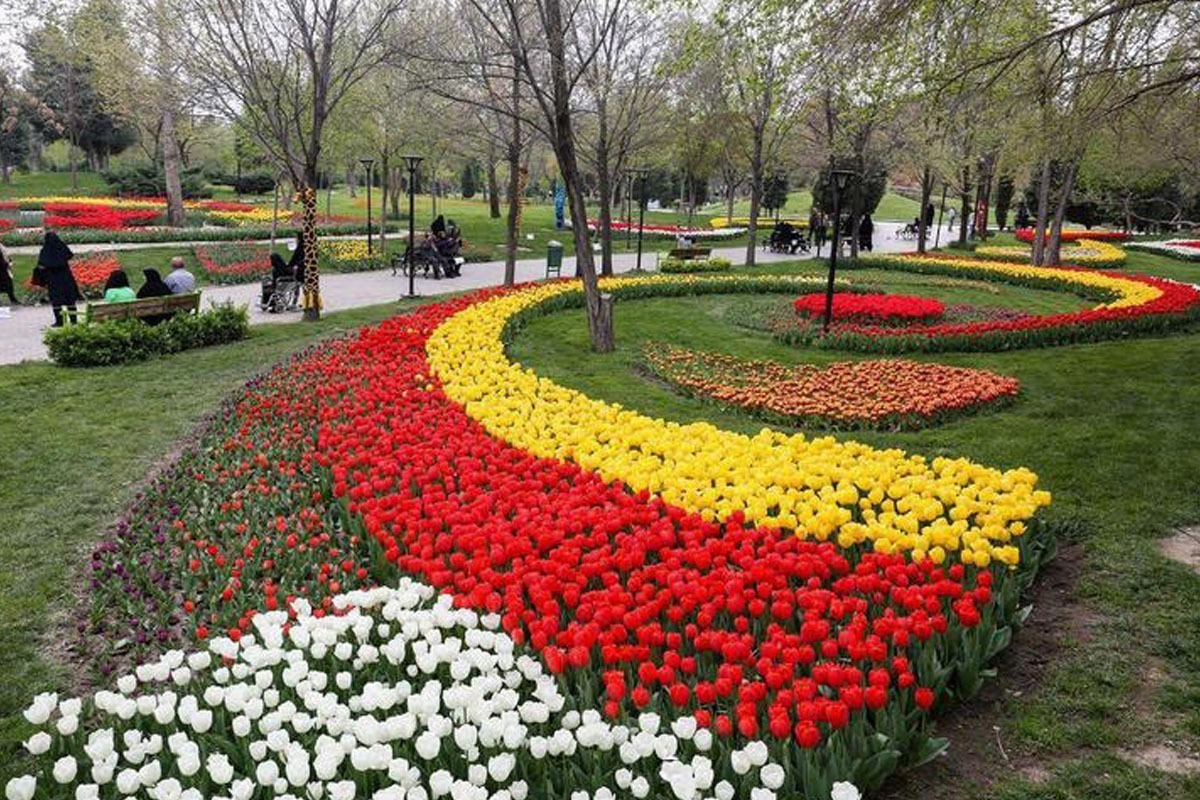 آغاز کاشت ۹۰۰ هزار گونه گیاهی دائمی در استقبال از بهار