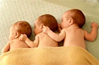 ۸۷۴ خانوار دارای فرزند چندقلو زیر پوشش بهزیستی