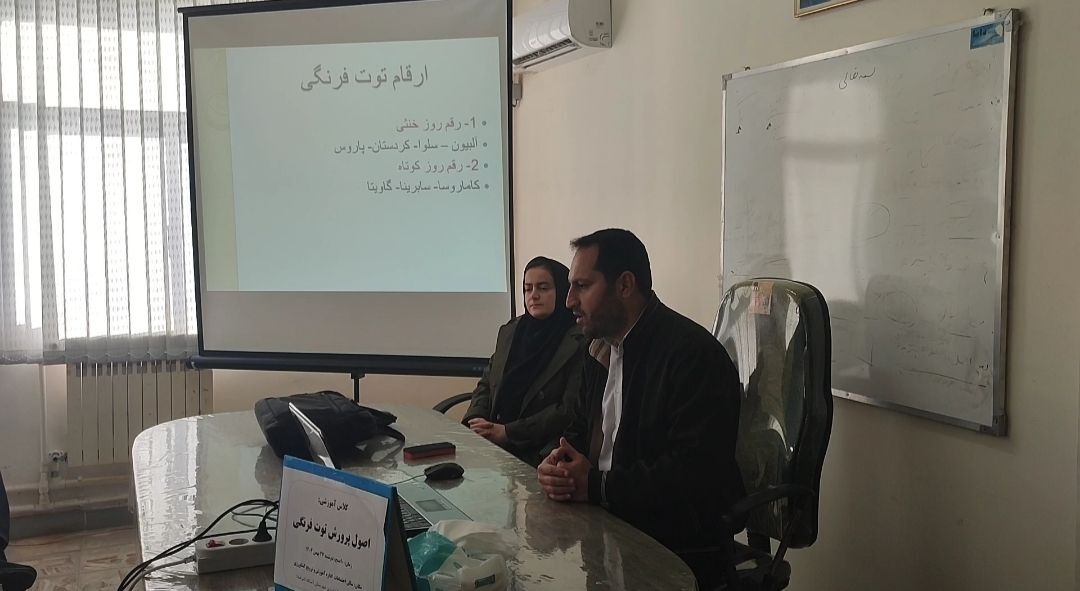 برگزاری کلاس آموزشی تخصصی پرورش توت‌فرنگی در آستانه اشرفیه