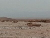 ثبت ششمین مشاهده یوزپلنگ در خراسان رضوی