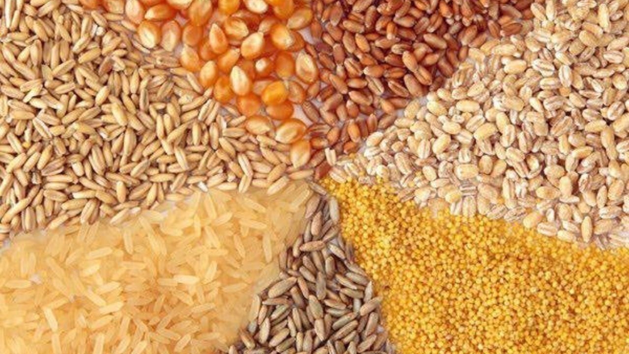 کشف ۸۵ تن گندم و نهاده دامی خارج از شبکه توزیع در بستان آباد کشف ۸۵ تن گندم و نهاده دامی خارج از شبکه توزیع در بستان آباد