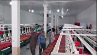 سرمایه گذاری در مسیرتولید و اشتغال بومی