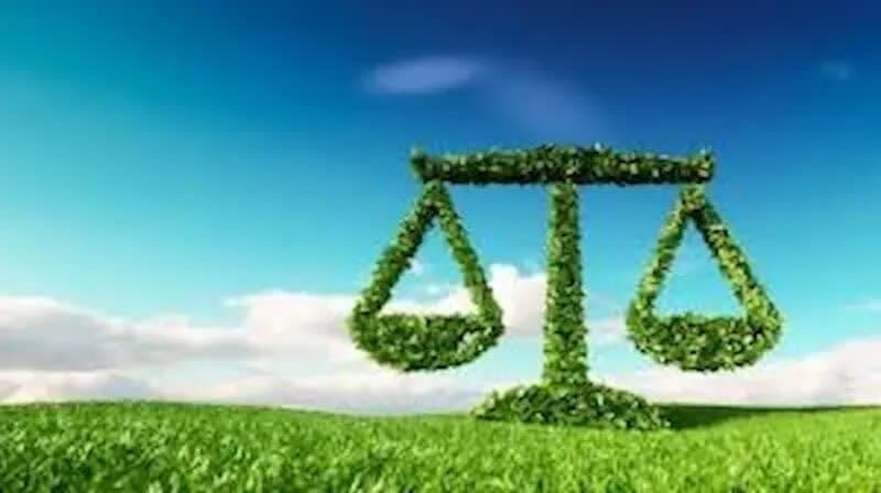 حکم سبز قاضی برای یک متخلف محیط زیستی در لرستان