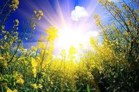 هوای گرم تا پایان هفته در همدان ادامه دارد