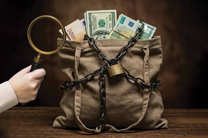 وصول بیش از ۱۱ همت از محل کتمان درآمد در نیمه اول سال‌جاری