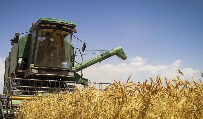 پایان خرید گندم در مراکز تعاونی روستایی آذربایجان غربی