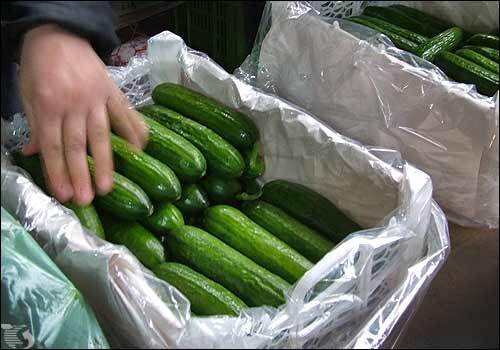 رونق کشاورزی نیازمند واحدهای سردخانه ای و بسته بندی