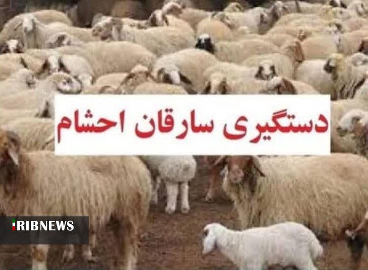 دستگیری سارق احشام در چگنی لرستان