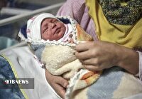 تولد بیش از سه هزار نوزاد در بیمارستان بنت‌الهدی بجنورد