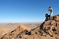 آغاز طرح سراسری سرشماری گونه‌های شاخص حیات‌وحش در کشور