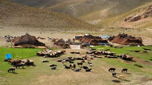 توزیع جو دولتی بین عشایر دنا و مارگون