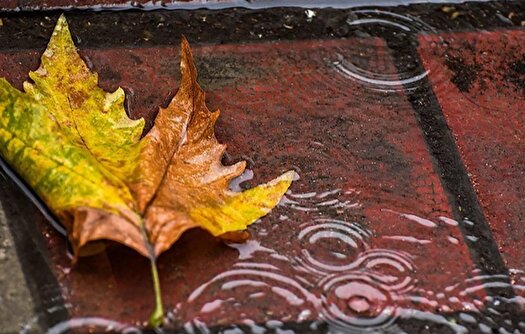 بارش‌های پراکنده در شمال کشور