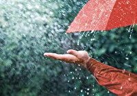 فیروزآباد با ۱۳۳ میلیمتر باران رکورد دار بارش ها در فارس