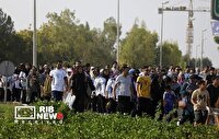 برگزاری پیاده روی خانوادگی خلیج تا ابد فارس
