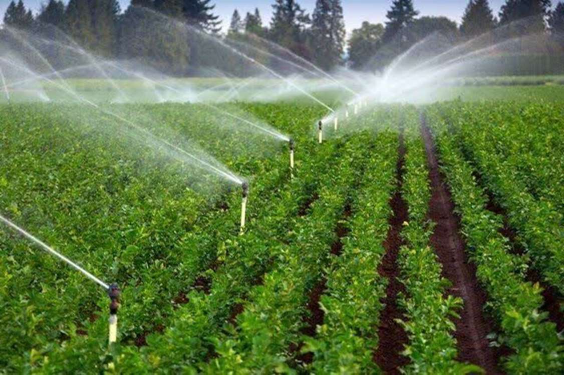 ضرورت نوسازی شیوه‌های کشاورزی در زنجان