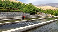 ۲۰۰ هزار قطعه بچه ماهی در منابع آب پارس‌آباد رها شد