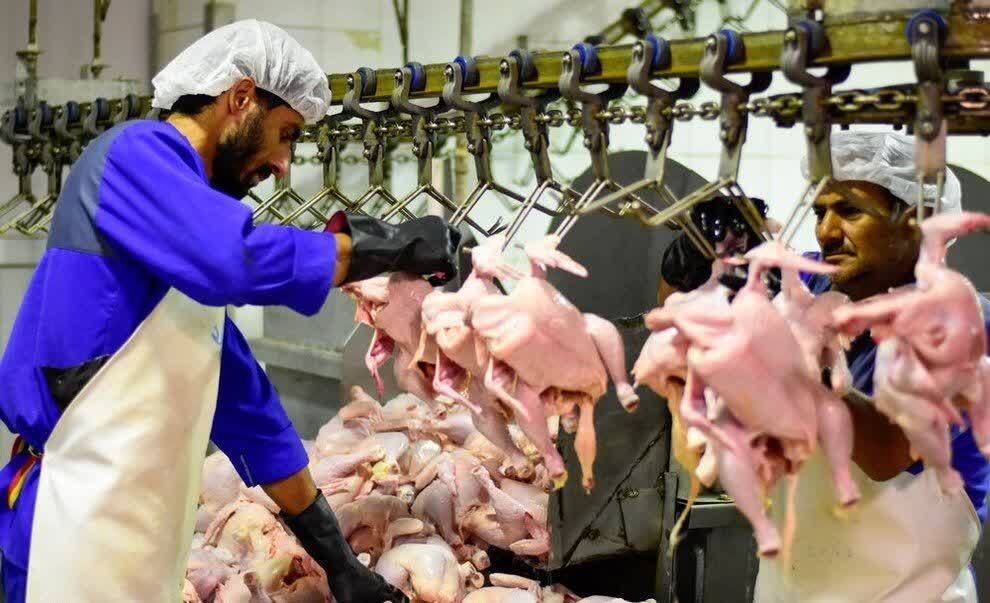 برخورد قاطع با تخلفات بازار مرغ در گیلان
