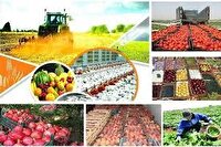 هفت محصول زراعی کهگیلویه و بویراحمد در اولویت شناسنامه‌دار شدن