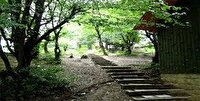 ۳۵ هزار نهال در بوستان سرخه‌حصار کاشته می شود