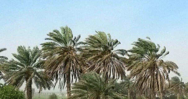 صدور هشدار سطح نارنجی هواشناسی در خراسان جنوبی
