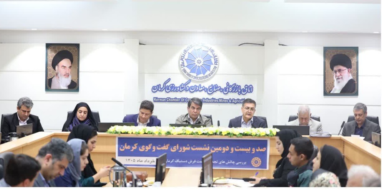 ضرورت ایجاد هم‌افزایی جدی میان فعالان صنعت فرش استان