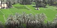 کلگان روستایی گردشگری در جنوب شرقی‌ترین نقطه ایران