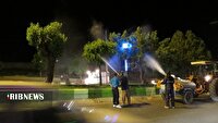 درخواست شهرداری اردبیل از شهروندان به دلیل عملیات سمپاشی درختان