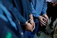 دستگیری ۲۲۵ متهم در عملیات ضربتی ۷۲ ساعته پلیس
