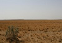 بحران خشکی در تالاب بندعلی‌خان؛ احیای زیست‌گاه در انتظار ابلاغ حقابه ۲۹ درصدی