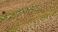 طبیعت بکر منطقه عشایری گرداب میزبان گردشگران تابستانی