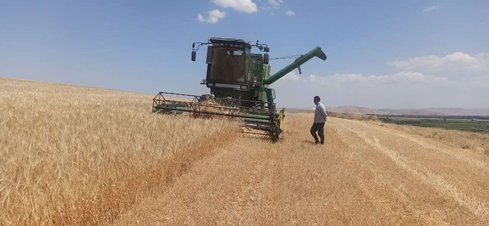 پیشبینی برداشت ۱۰۵ هزار تن محصول جو در آذربایجانغربی پیشبینی برداشت ۱۰۵ هزار تن محصول جو در آذربایجانغربی