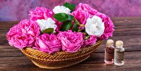 گلاب؛ از گل محمدی تا ترکیبات موثر دارویی