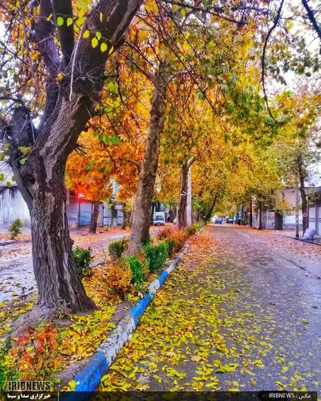 زیبایی های خرم آباد در فصل پائیز شهر زیبایی ها
عکس: سعیده دریکوند