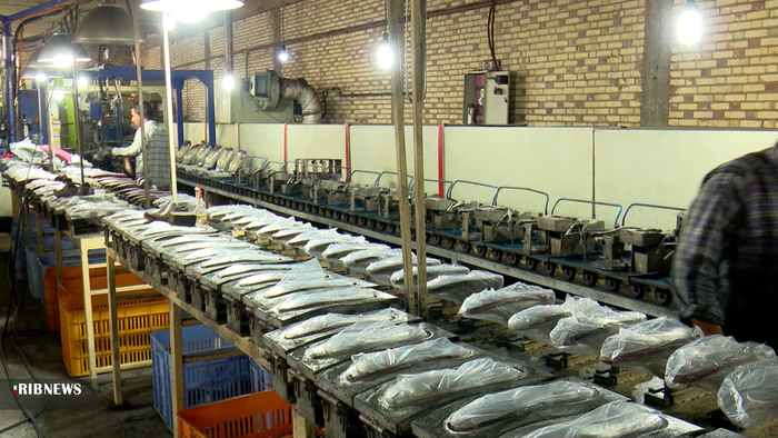 تولید چرم تبریز