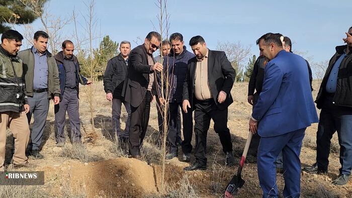 درختکاری در بوستان بش قارداش